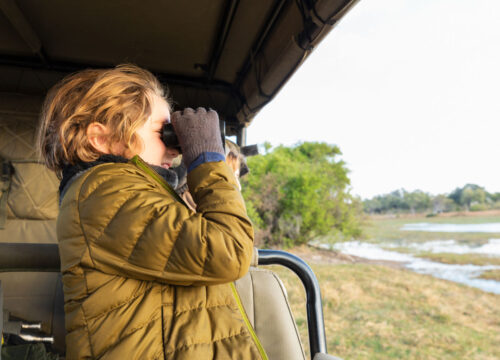 Family Safaris: A Guide to Kid-Friendly Adventures in the Wild
