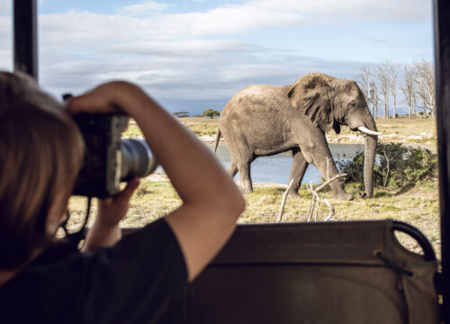 The Ultimate Guide to Photographic Safaris in Africa