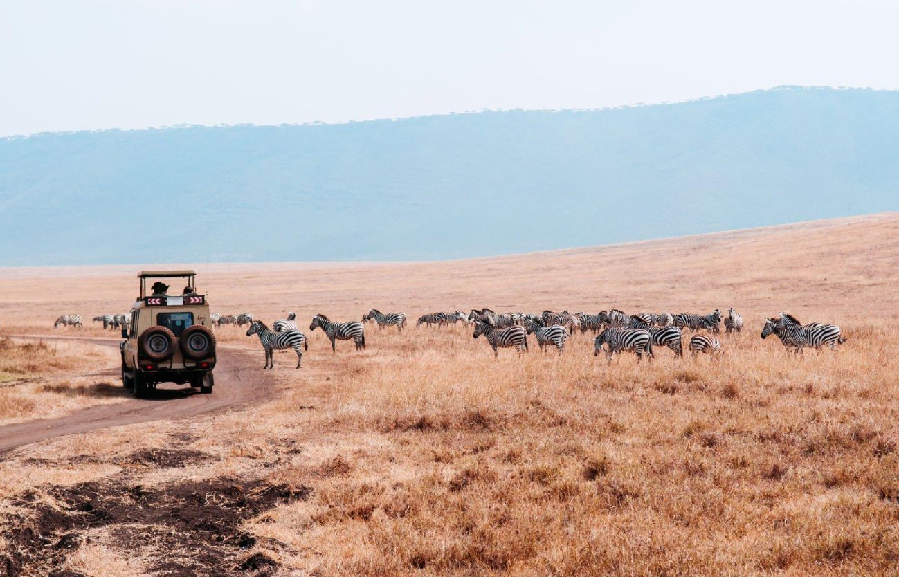 Serengeti_001