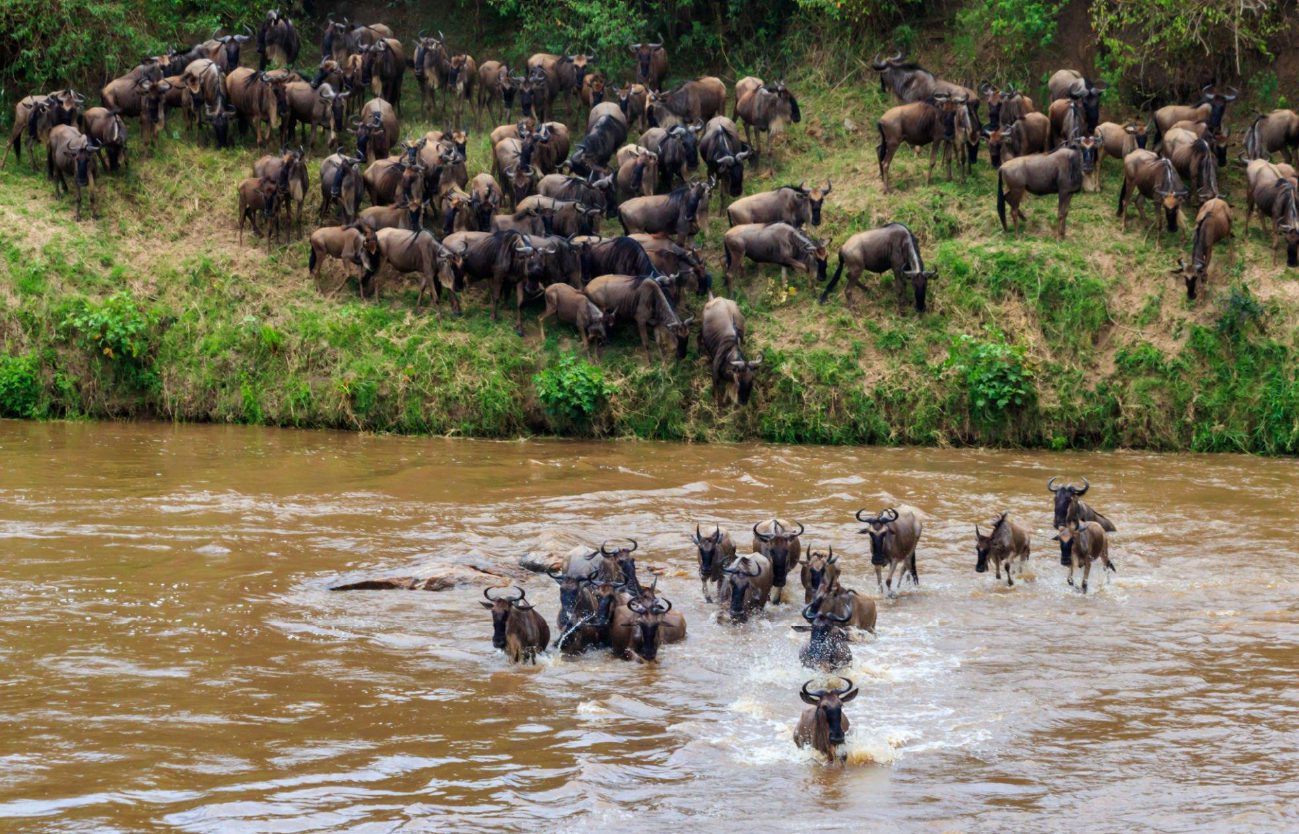 Serengeti_005
