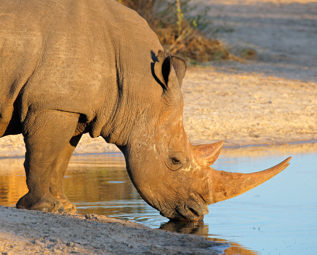 Lake Manyara